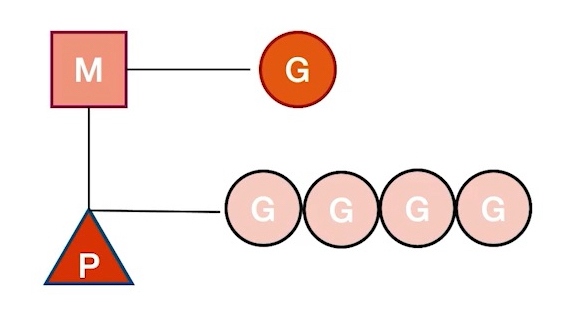 Golang-GMP原理与调度分析