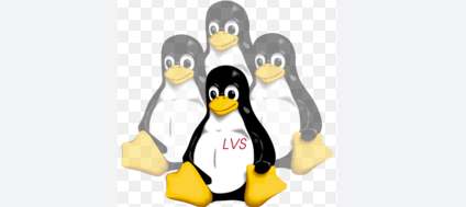 Linux virtual server (LVS)